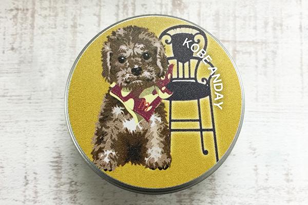 ミニ缶　トイプードル