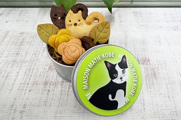 ミニ缶　ハチワレ 1匹